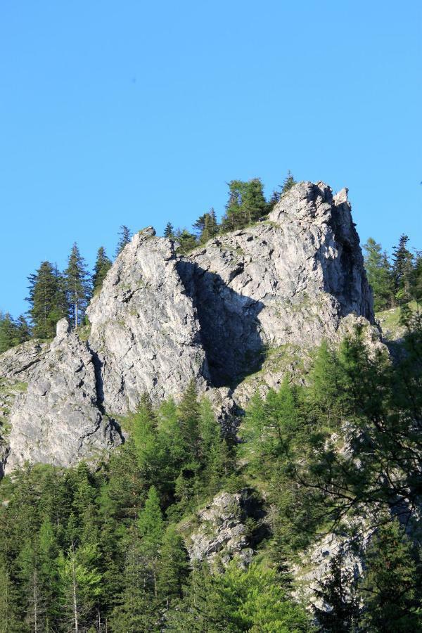 Willa U Stachoniow Zakopane Exterior foto
